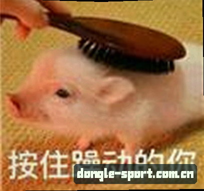刘洋